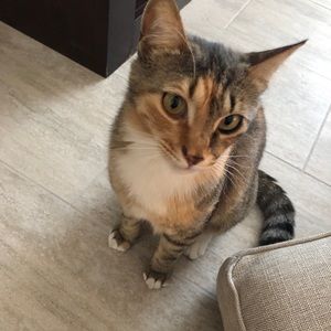 Meet Your Posher, Twi